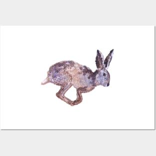 Hare Posters and Art